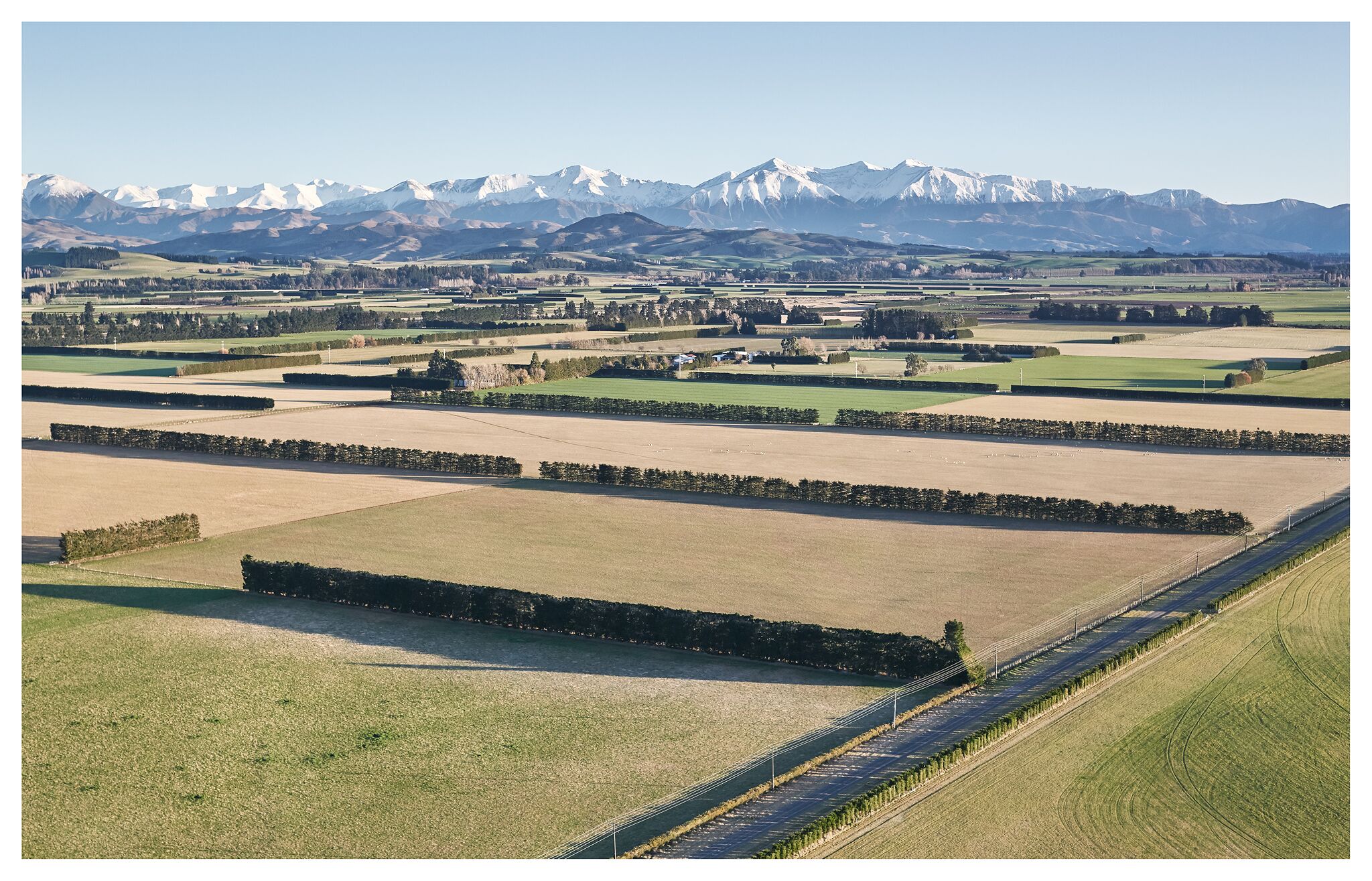 Farmland in New Zealand, courtesy Jose Ahedo