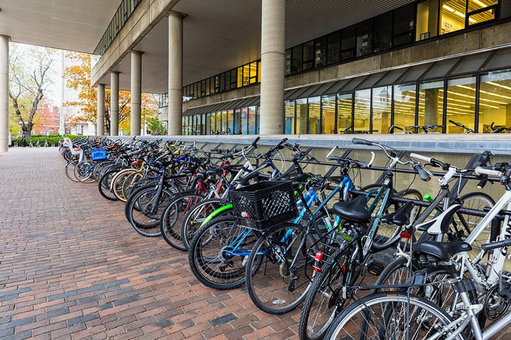Dozens of bikes parked outside of Gund Hall.