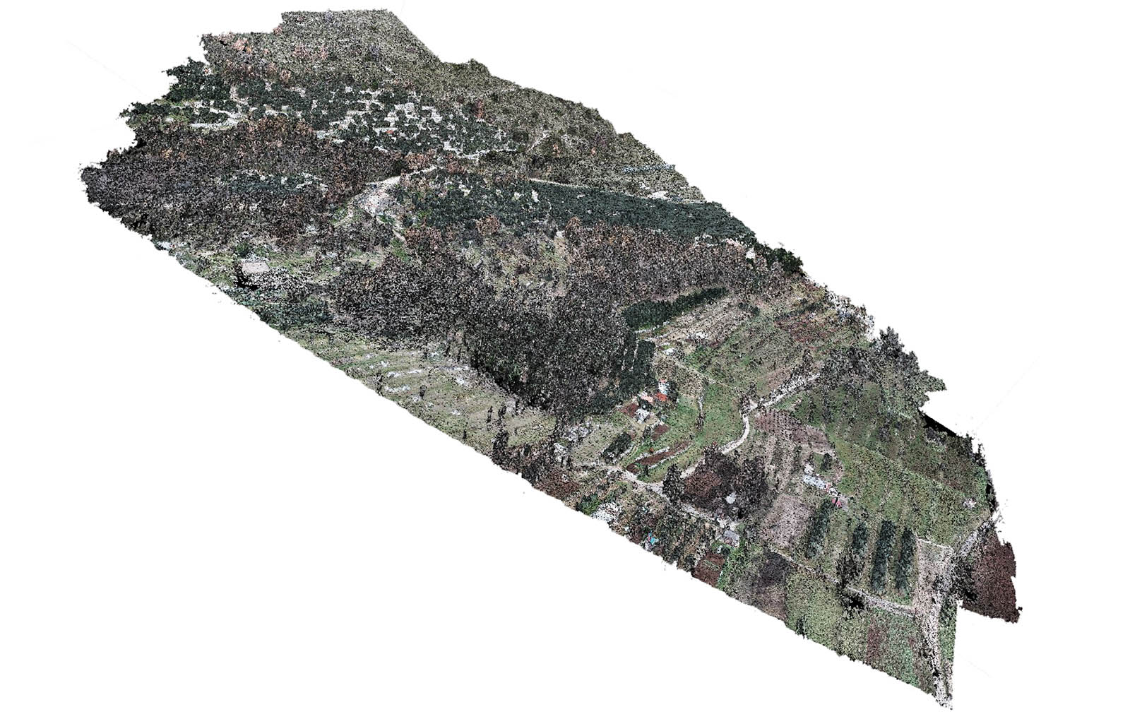 Typical Transect of Vallecorsa_s Landscape Documented Photogrammetrically 2