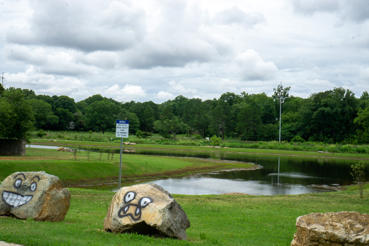 A river runs through a landscape, with greenery behind it and a cloudy sky. In front of the river are two rocks with spray painted faces.