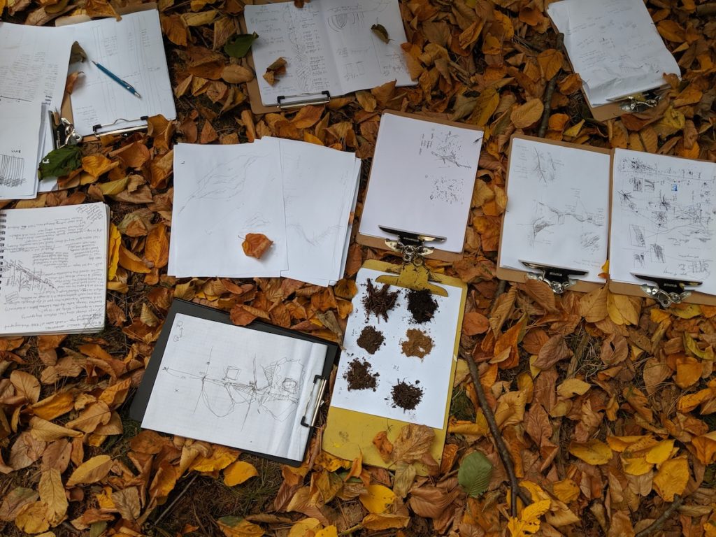 clipboards on a bed of fall leaves