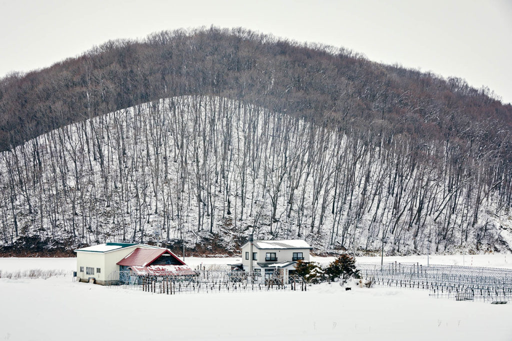 Image of farm within a forest in winter at the outskirts of Higashikawa
