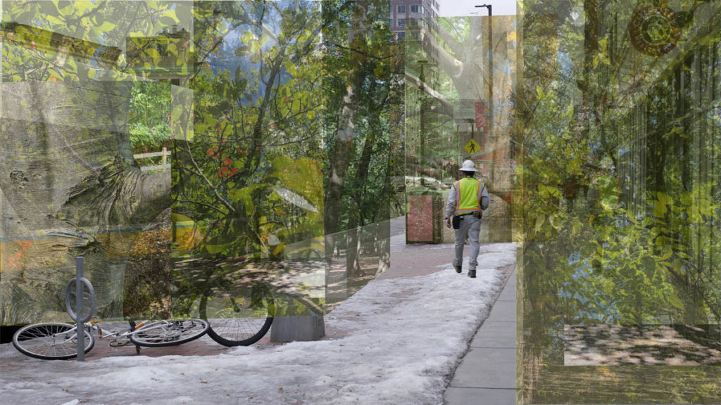 Rendering of man walking in the city with an overlay of various ecologies on either side