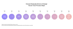 Thumbnail of Tenure Track Process steps, including ten purple and pink circles representing each year.