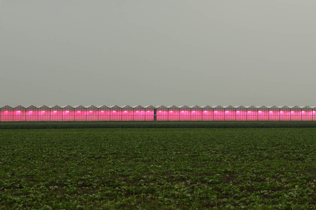 Image of a a long line of small buildings with a pink lighting glowing from them.