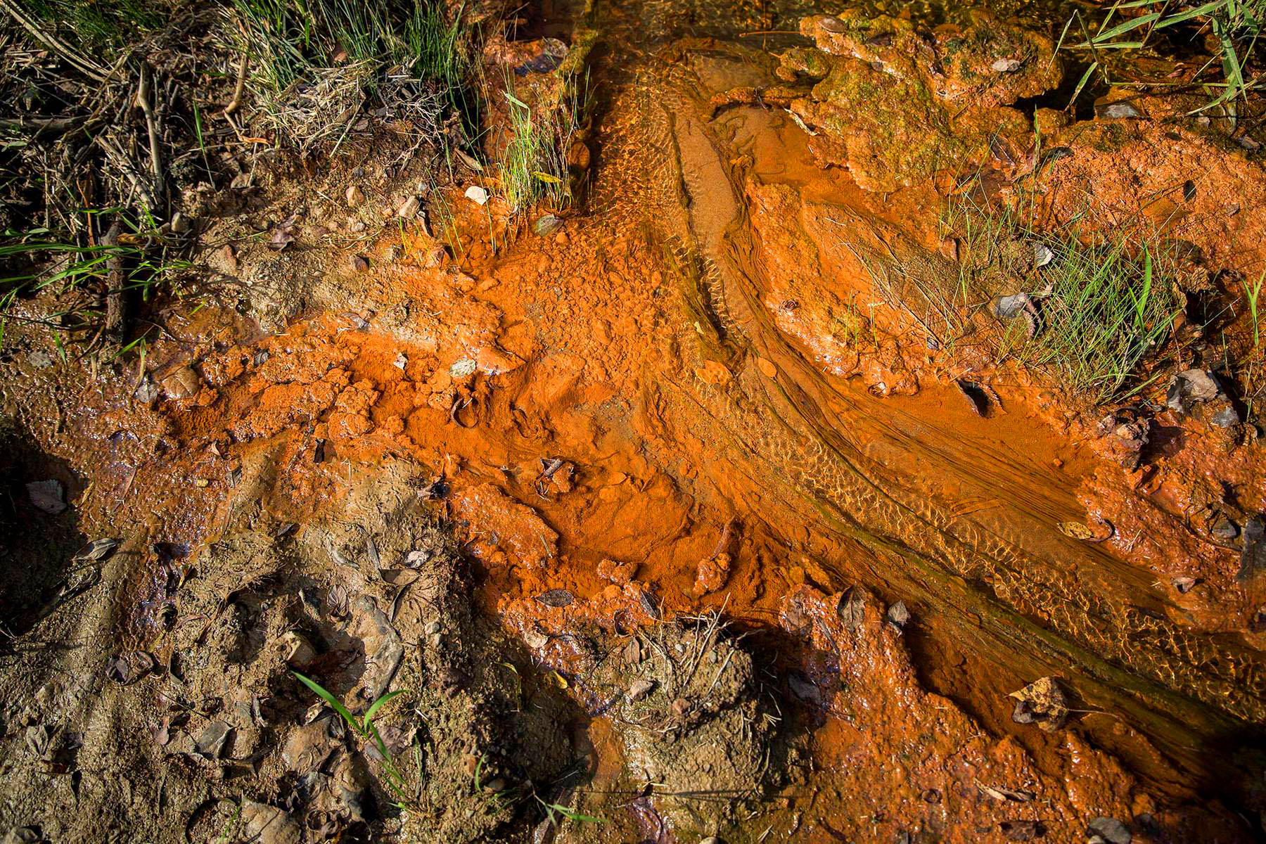 Orange sludge oozing through dirt and grass.