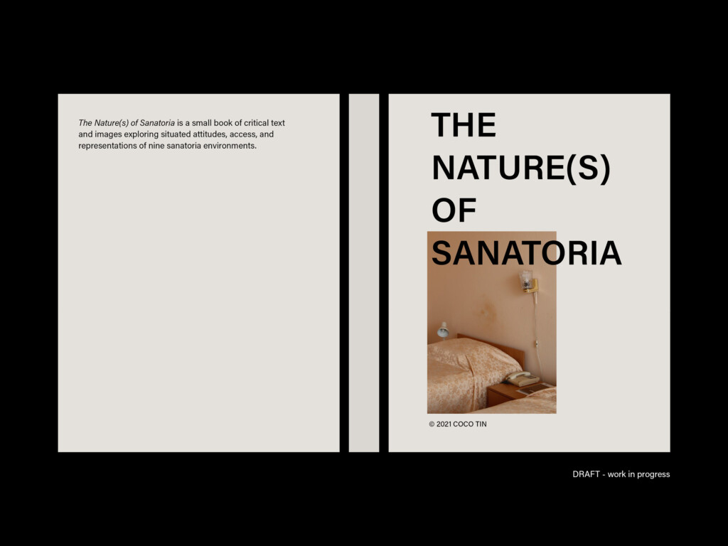 digital mock up of book cover that reads "The Nature(s) of Sanatoria"