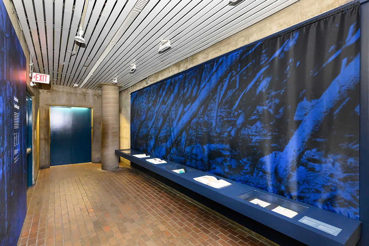 A view of the exhibit in the lobby of Gund Hall, with blue and black wall murals and a blue shelf holding books and papers.