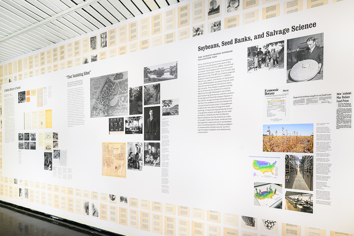 A view of the wall mural showing historical images, maps, and book pages interspersed with text panels.