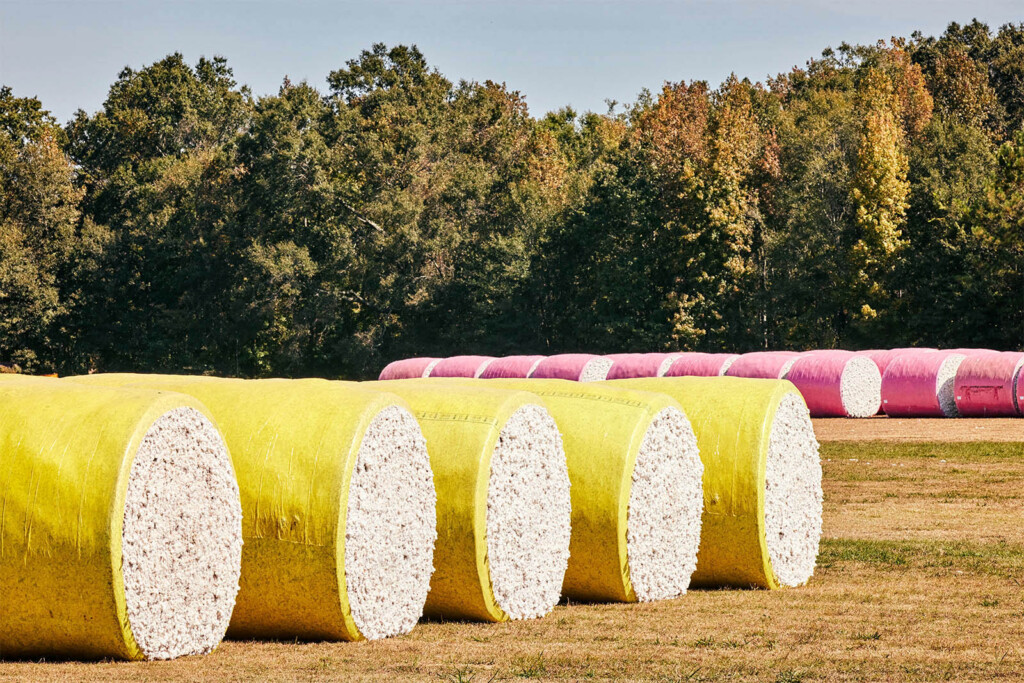 Photo of cotton bales wrapped in yellow and red plastic shrink-wrap