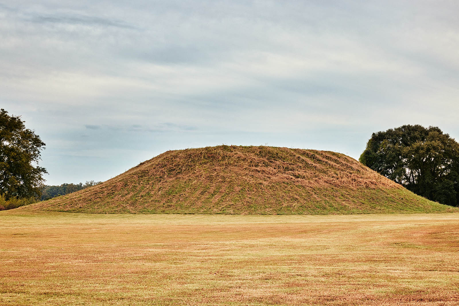 Photo of a grassy mound with blue-grayish sky