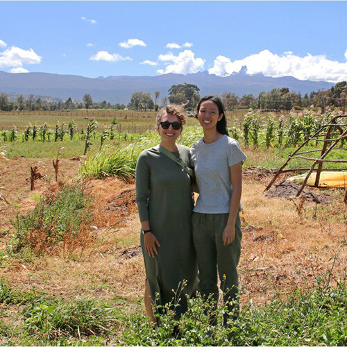 Two people stand in a rural agricultural field.