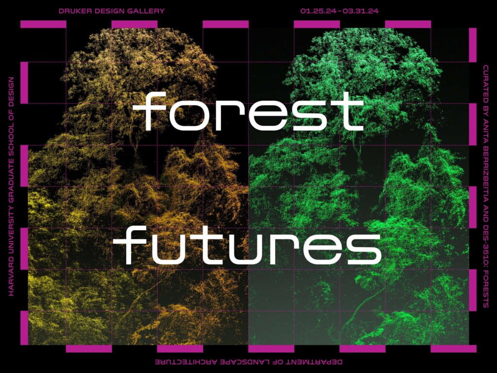 Forest Futures